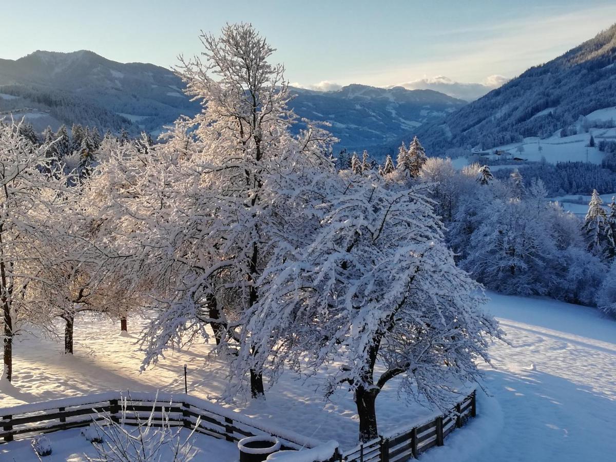 Bio-Bauernhof Einberghof Apartment ฟาร์แวร์เฟน ภายนอก รูปภาพ