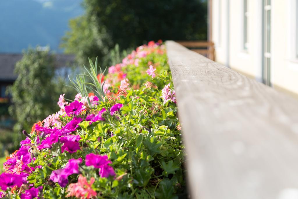 Bio-Bauernhof Einberghof Apartment ฟาร์แวร์เฟน ภายนอก รูปภาพ